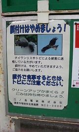 海にて①